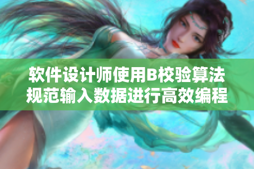 软件设计师使用B校验算法规范输入数据进行高效编程