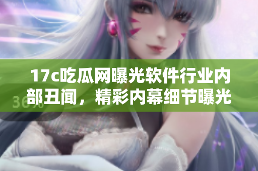 17c吃瓜网曝光软件行业内部丑闻，精彩内幕细节曝光