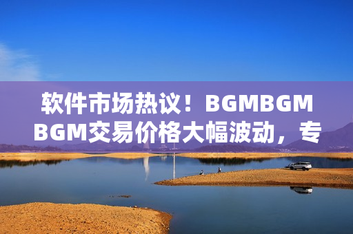软件市场热议！BGMBGMBGM交易价格大幅波动，专家揭秘行情特点
