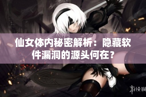 仙女体内秘密解析：隐藏软件漏洞的源头何在？