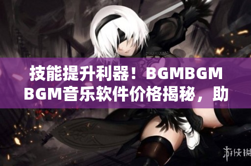 技能提升利器！BGMBGMBGM音乐软件价格揭秘，助你成为高效编程大神