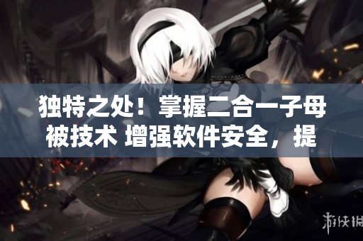 独特之处！掌握二合一子母被技术 增强软件安全，提高工作效率