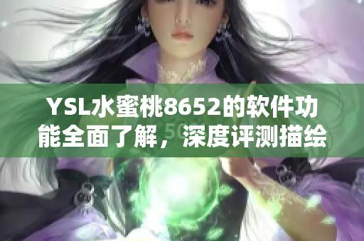 YSL水蜜桃8652的软件功能全面了解，深度评测描绘