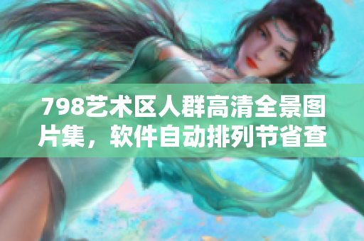 798艺术区人群高清全景图片集，软件自动排列节省查找时间