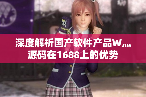 深度解析国产软件产品W灬源码在1688上的优势