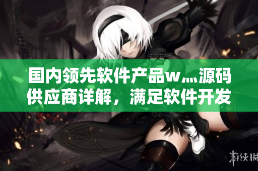 国内领先软件产品w灬源码供应商详解，满足软件开发需求