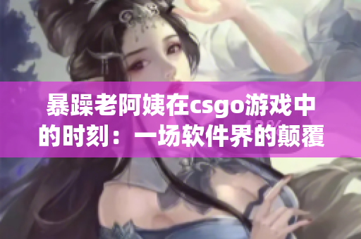 暴躁老阿姨在csgo游戏中的时刻：一场软件界的颠覆之旅