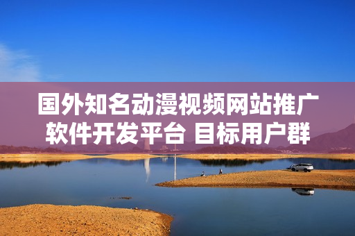 国外知名动漫视频网站推广软件开发平台 目标用户群众启动项目共振方式
