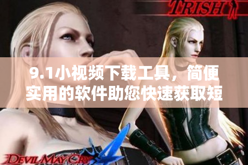 9.1小视频下载工具，简便实用的软件助您快速获取短视频