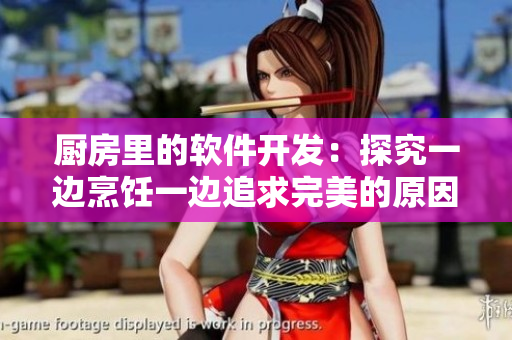 厨房里的软件开发：探究一边烹饪一边追求完美的原因