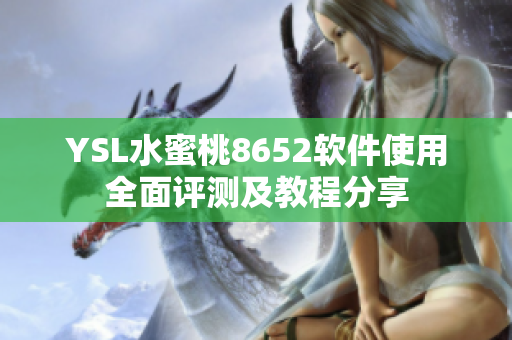 YSL水蜜桃8652软件使用全面评测及教程分享