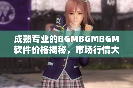 成熟专业的BGMBGMBGM软件价格揭秘，市场行情大揭秘