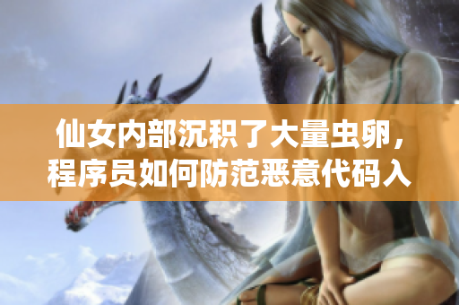 仙女内部沉积了大量虫卵，程序员如何防范恶意代码入侵？