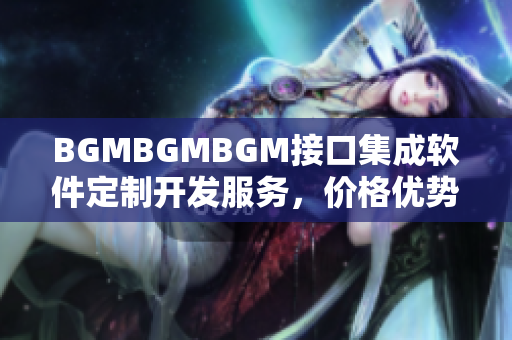 BGMBGMBGM接口集成软件定制开发服务，价格优势明显