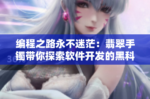 编程之路永不迷茫：翡翠手镯带你探索软件开发的黑科技