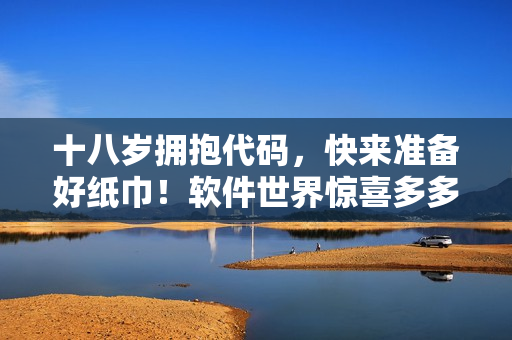 十八岁拥抱代码，快来准备好纸巾！软件世界惊喜多多，让你眼前一亮！