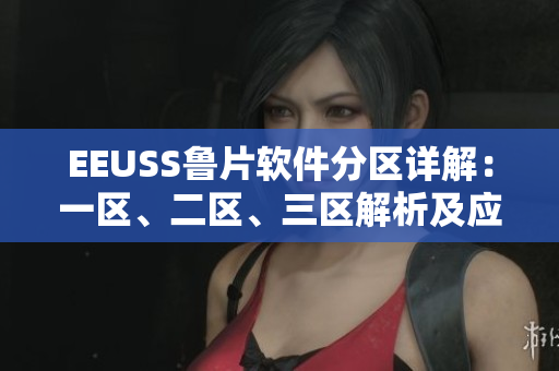 EEUSS鲁片软件分区详解：一区、二区、三区解析及应用建议