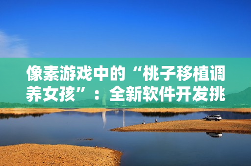 像素游戏中的“桃子移植调养女孩”：全新软件开发挑战！