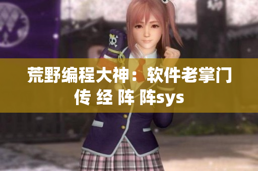 荒野编程大神：软件老掌门传 经 阵 阵sys