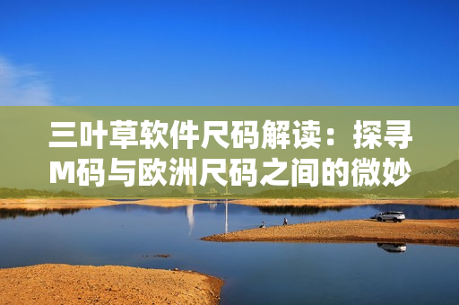 三叶草软件尺码解读：探寻M码与欧洲尺码之间的微妙差异