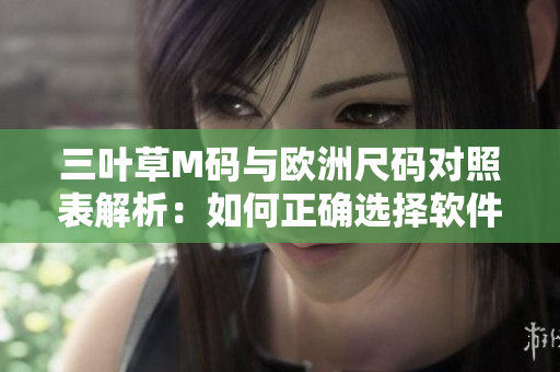 三叶草M码与欧洲尺码对照表解析：如何正确选择软件开发工作服？