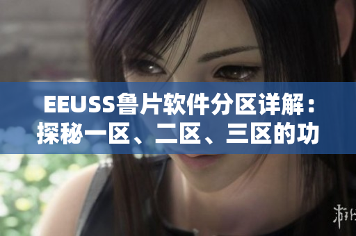 EEUSS鲁片软件分区详解：探秘一区、二区、三区的功能差异
