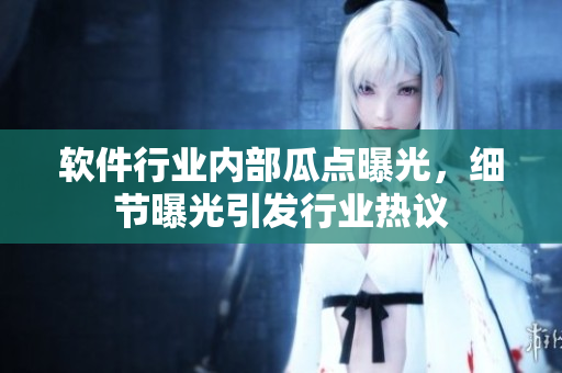 软件行业内部瓜点曝光，细节曝光引发行业热议