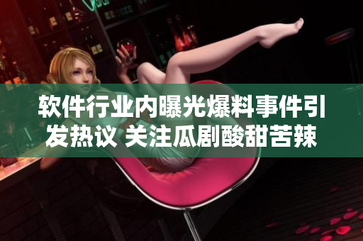 软件行业内曝光爆料事件引发热议 关注瓜剧酸甜苦辣