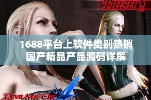 1688平台上软件类别热销国产精品产品源码详解