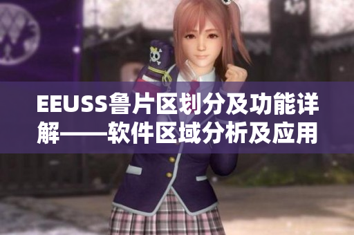 EEUSS鲁片区划分及功能详解——软件区域分析及应用介绍