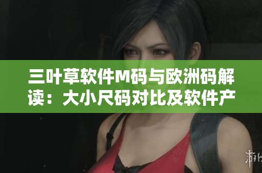 三叶草软件M码与欧洲码解读：大小尺码对比及软件产品选择技巧