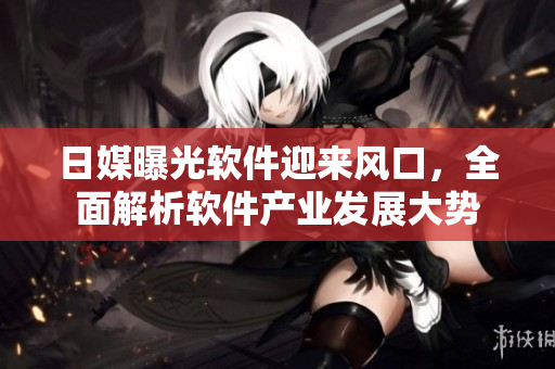 日媒曝光软件迎来风口，全面解析软件产业发展大势
