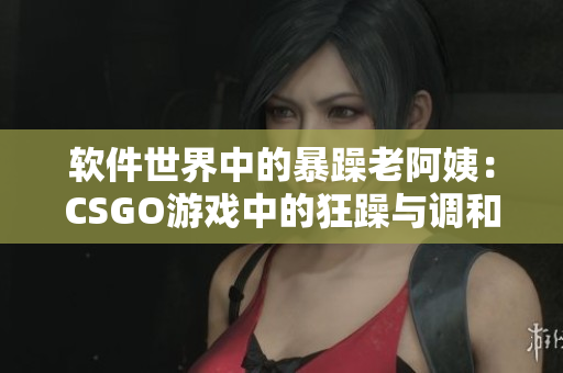 软件世界中的暴躁老阿姨：CSGO游戏中的狂躁与调和