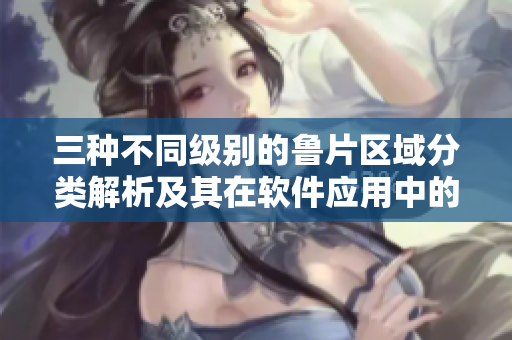 三种不同级别的鲁片区域分类解析及其在软件应用中的作用