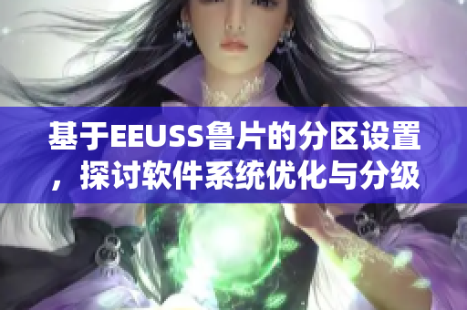 基于EEUSS鲁片的分区设置，探讨软件系统优化与分级管理方案