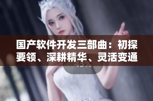 国产软件开发三部曲：初探要领、深耕精华、灵活变通