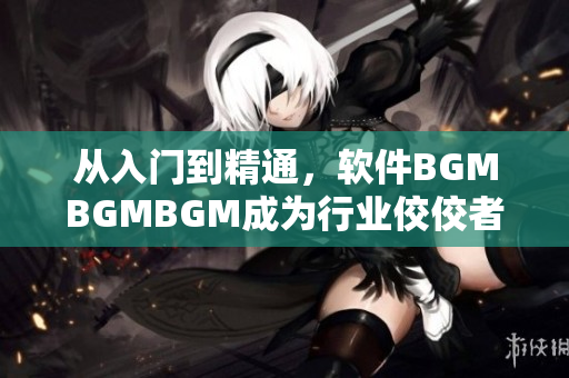 从入门到精通，软件BGMBGMBGM成为行业佼佼者，价格实惠。