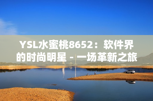 YSL水蜜桃8652：软件界的时尚明星 - 一场革新之旅