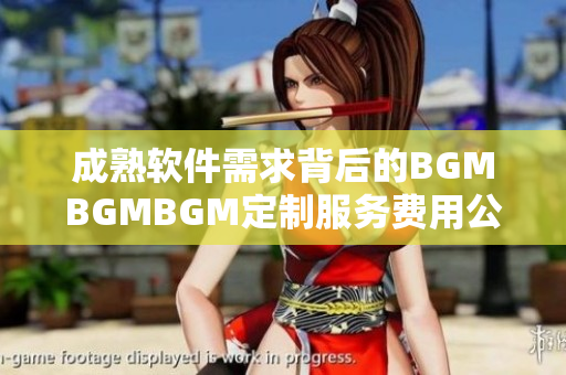 成熟软件需求背后的BGMBGMBGM定制服务费用公开分享