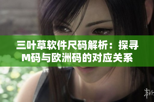三叶草软件尺码解析：探寻M码与欧洲码的对应关系