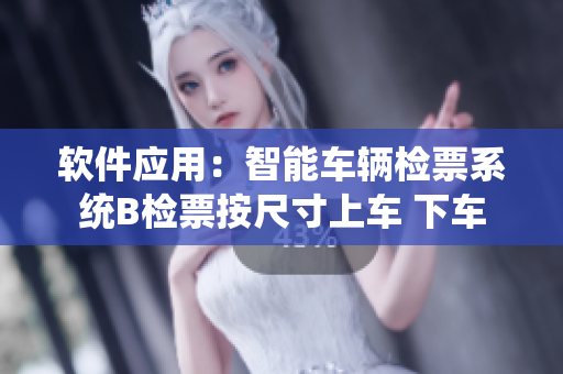 软件应用：智能车辆检票系统B检票按尺寸上车 下车