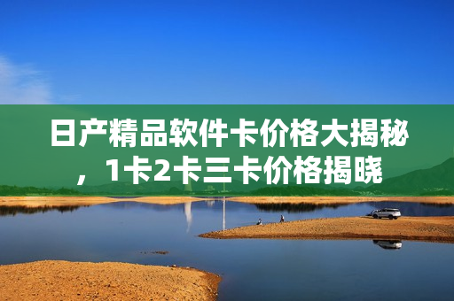日产精品软件卡价格大揭秘，1卡2卡三卡价格揭晓