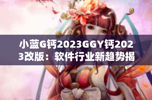 小蓝G钙2023GGY钙2023改版：软件行业新趋势揭秘