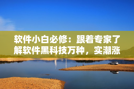 软件小白必修：跟着专家了解软件黑科技万种，实潮涨跌风云变化