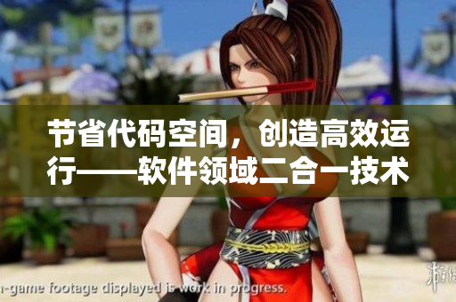 节省代码空间，创造高效运行——软件领域二合一技术的应用与优势