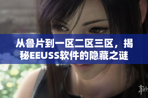 从鲁片到一区二区三区，揭秘EEUSS软件的隐藏之谜