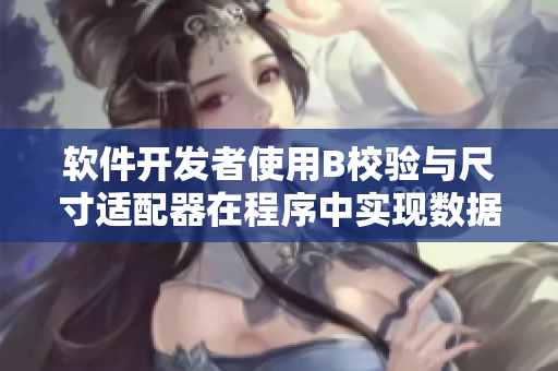 软件开发者使用B校验与尺寸适配器在程序中实现数据验证