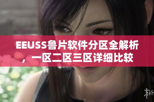 EEUSS鲁片软件分区全解析，一区二区三区详细比较