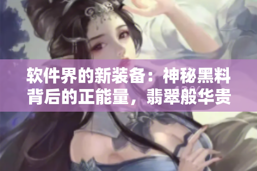软件界的新装备：神秘黑料背后的正能量，翡翠般华贵的软件之路