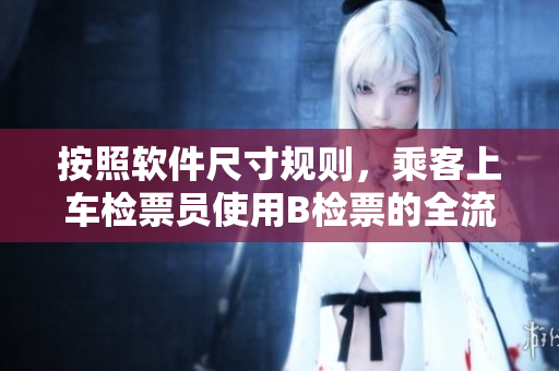 按照软件尺寸规则，乘客上车检票员使用B检票的全流程